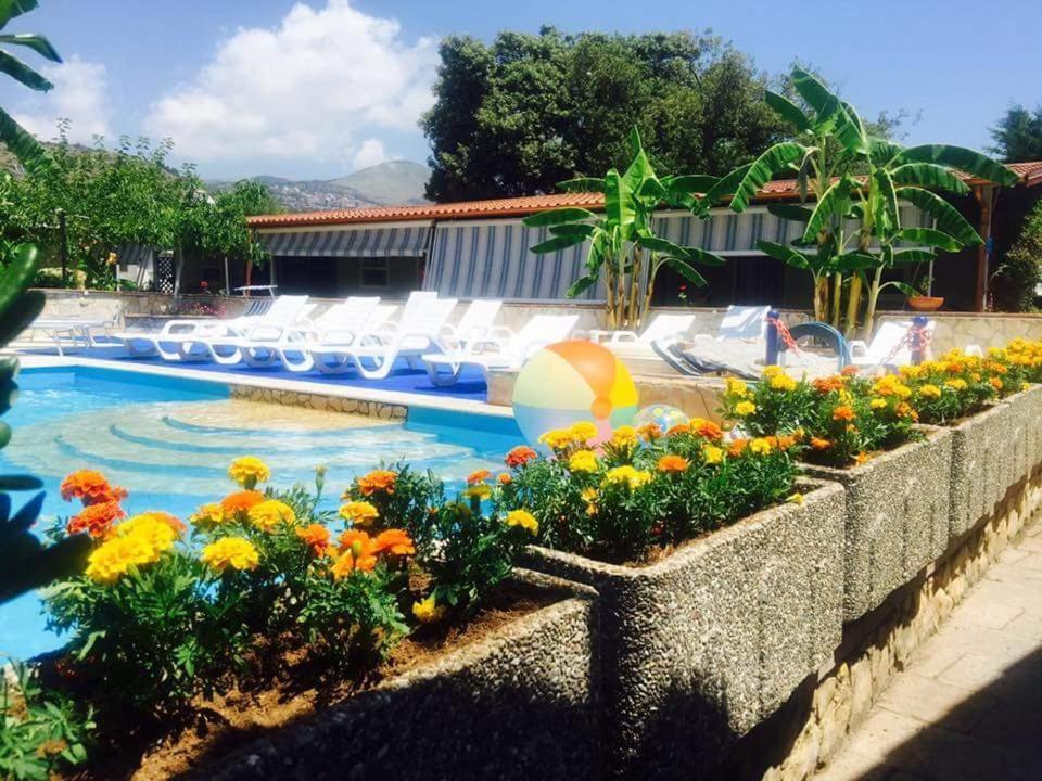 Villaggio Romaniello 卡梅罗塔的码头 外观 照片