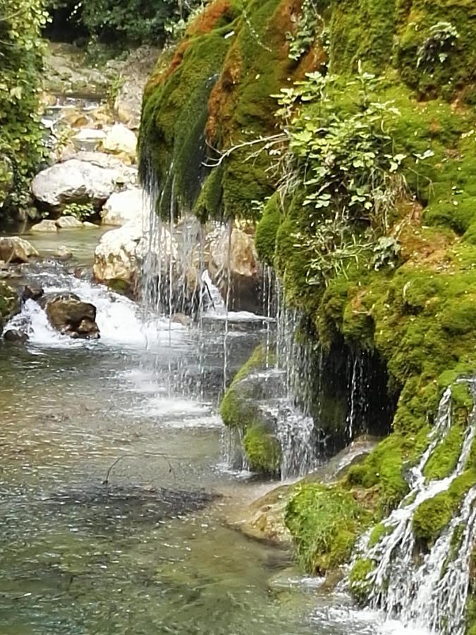Villaggio Romaniello 卡梅罗塔的码头 外观 照片